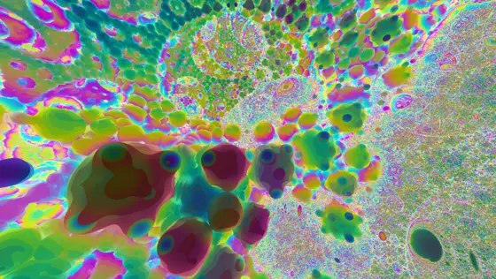 Apollonian 3d