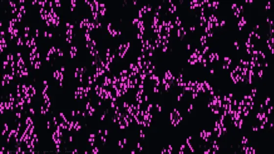 Ascii Brians Brain