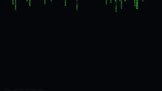Ascii Matrix Rain