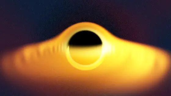 Black Hole Lensing