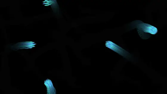 Dark Field Boids