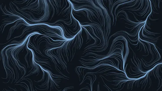 Flow Field P5