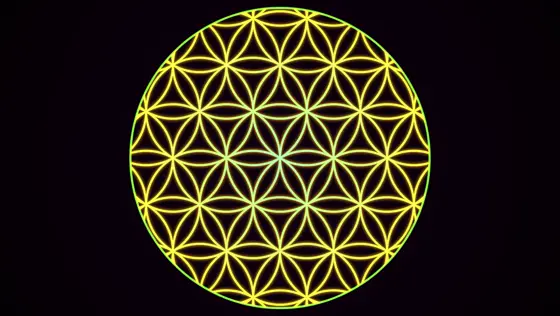 Flower Of Life