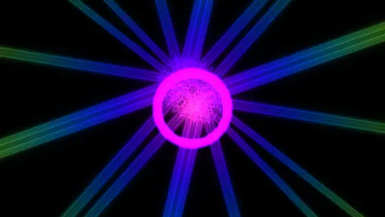 Fractal Jellyfish